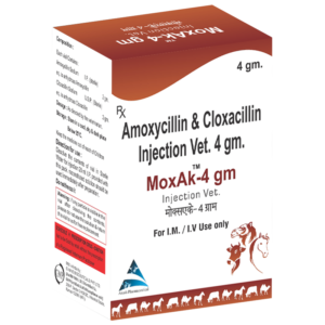 Amoxycilin & Cloxacilin Injection