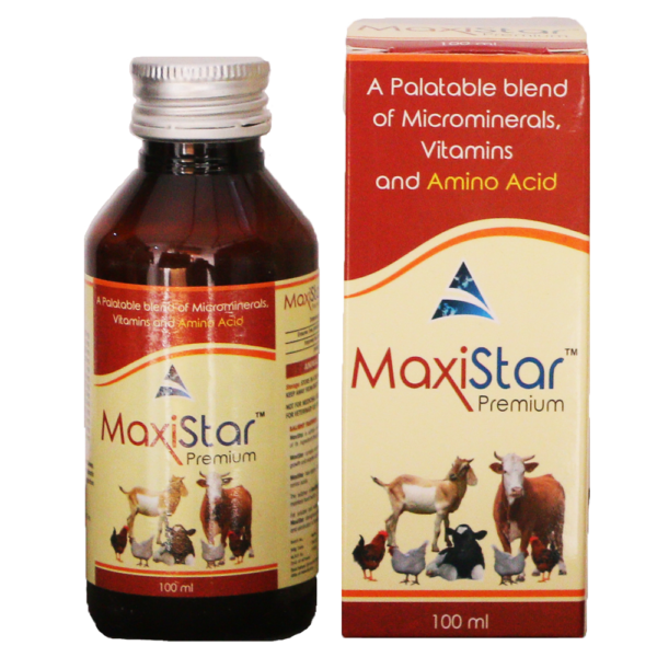 Maxistar Premium Syrup