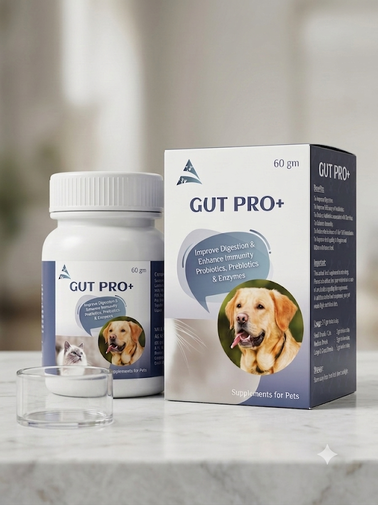 GUTPRO+ POWDER-Digestive & Gut Health Supplements-dogs-cats GUTPRO+ Powder 60gm is a digestive and gut-health nutritional supplement
